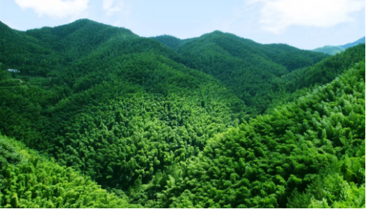 集團全力助推安徽六安霍山縣委托招商引資，著力打造支柱型特色產業高質發展