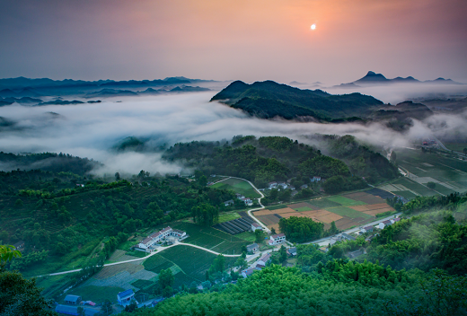 集團全力助推安徽六安霍山縣委托招商引資，著力打造支柱型特色產業高質發展