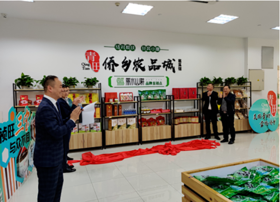 集團全力助推浙江省麗水市青田縣委托招商引資，以產業集聚厚植發展優勢！