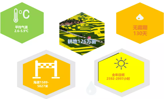 集團全力助推甘肅民樂縣委托招商引資，以“一區五園”打造發展新增長極