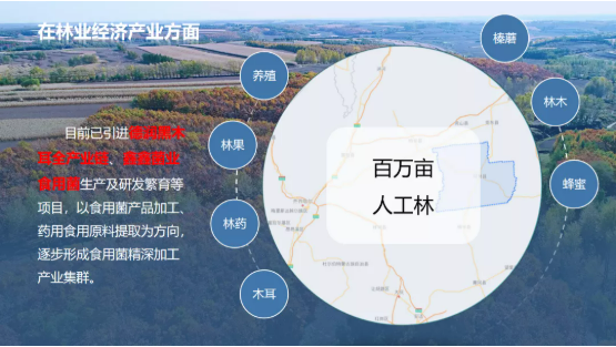 集團(tuán)全力助推黑龍江齊齊哈爾拜泉縣委托招商引資，立足資源優(yōu)勢(shì)，開辟產(chǎn)業(yè)集群高質(zhì)量發(fā)展新高地