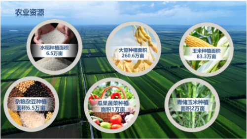 集團(tuán)全力助推黑龍江齊齊哈爾拜泉縣委托招商引資，立足資源優(yōu)勢(shì)，開辟產(chǎn)業(yè)集群高質(zhì)量發(fā)展新高地
