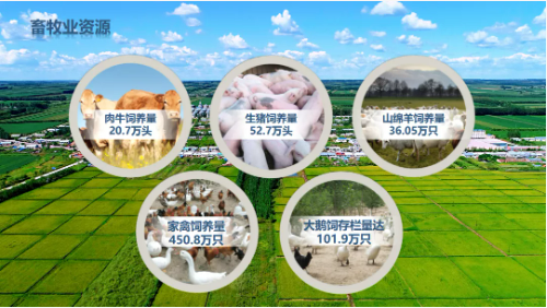 集團(tuán)全力助推黑龍江齊齊哈爾拜泉縣委托招商引資，立足資源優(yōu)勢(shì)，開辟產(chǎn)業(yè)集群高質(zhì)量發(fā)展新高地
