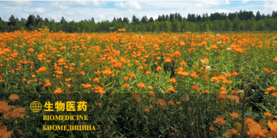 集團全力助推黑龍江大興安嶺委托招商引資，聚力將“冷資源”轉化為“熱經濟”！