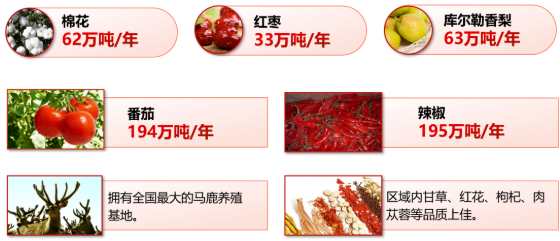集團(tuán)全力助推新疆第二師鐵門關(guān)市委托招商引資，打造宜居宜業(yè)軍墾生態(tài)新城！