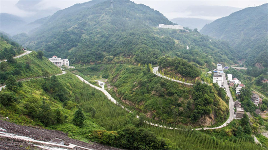 集團全力助推甘肅隴南武都區(qū)委托招商引資，將地域資源優(yōu)勢轉化為經濟發(fā)展新動能