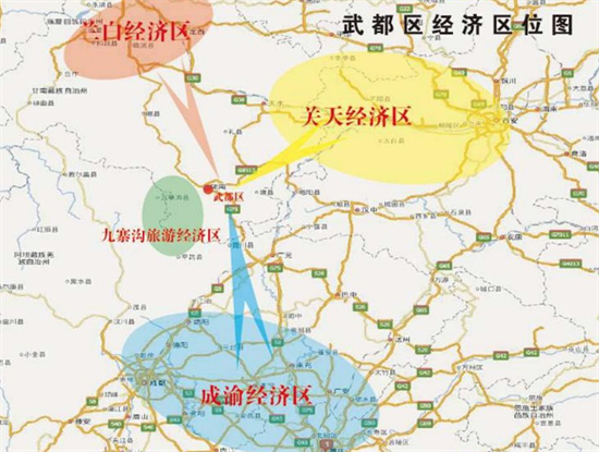 集團全力助推甘肅隴南武都區(qū)委托招商引資，將地域資源優(yōu)勢轉化為經濟發(fā)展新動能