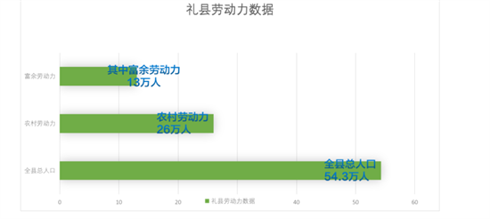 集團全力助推甘肅隴南禮縣委托招商引資，以特色產(chǎn)業(yè)招引，推動地方經(jīng)濟蓬勃發(fā)展！