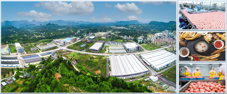 集團(tuán)全力助推四川巴中恩陽區(qū)委托招商引資，全面建設(shè)“兩地三區(qū)”現(xiàn)代化新恩陽