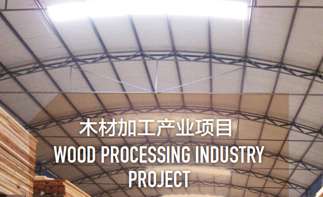 集團全力助推黑龍江省同江市委托招商引資，充分挖掘開發潛能，再次綻放邊陲魅力