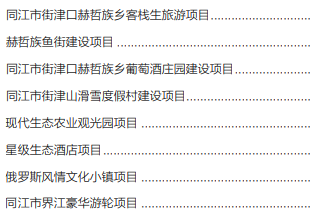 集團全力助推黑龍江省同江市委托招商引資，充分挖掘開發潛能，再次綻放邊陲魅力