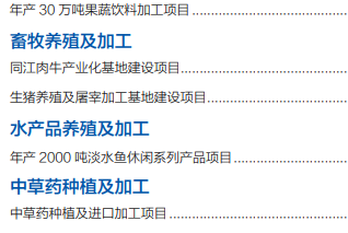 集團全力助推黑龍江省同江市委托招商引資，充分挖掘開發潛能，再次綻放邊陲魅力