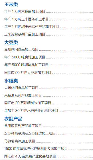 集團全力助推黑龍江省同江市委托招商引資，充分挖掘開發潛能，再次綻放邊陲魅力