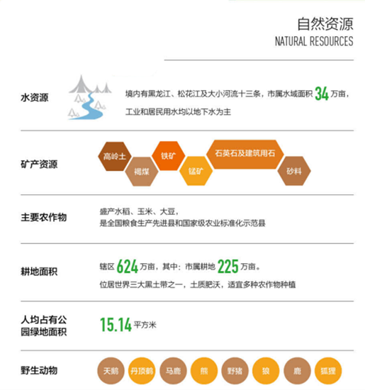 集團全力助推黑龍江省同江市委托招商引資，充分挖掘開發潛能，再次綻放邊陲魅力