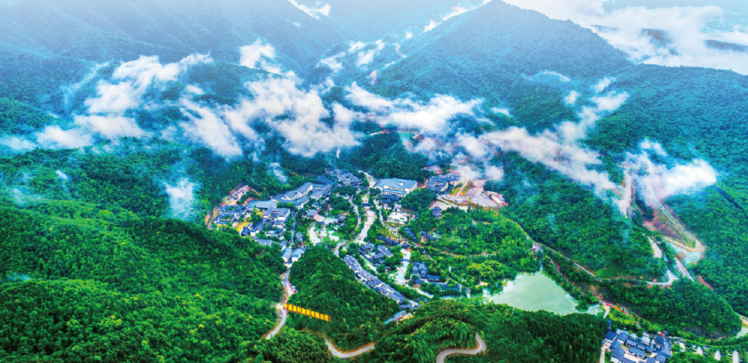 集團全力助推黑龍江省同江市委托招商引資，充分挖掘開發潛能，再次綻放邊陲魅力