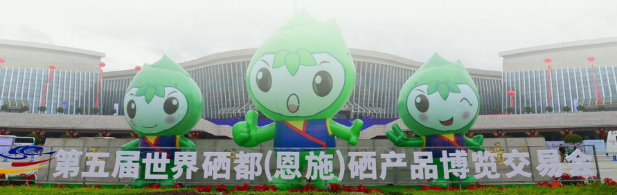 集團全力助推湖北恩施高新區委托招商引資，打造特色產業集群化發展新格局