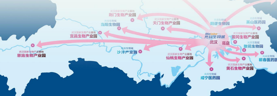 集團全力助推湖北恩施高新區委托招商引資，打造特色產業集群化發展新格局