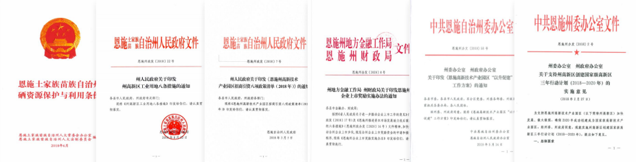 集團全力助推湖北恩施高新區委托招商引資，打造特色產業集群化發展新格局