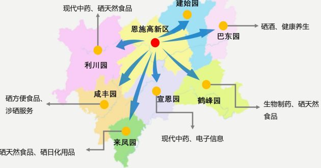 集團全力助推湖北恩施高新區委托招商引資，打造特色產業集群化發展新格局