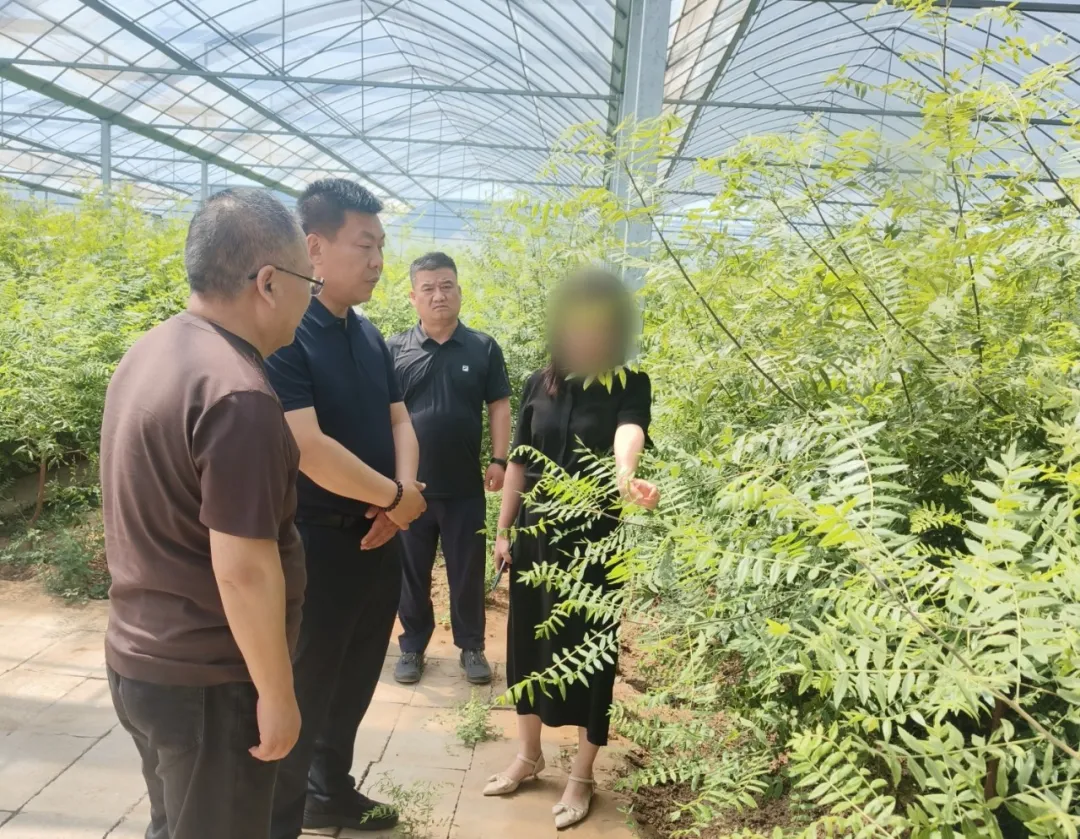 投資7億，國有企業、省龍頭企業！甘肅某地方政府實地對接國企高品質植物油生產擴建投資選址項目